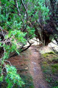 20161013_Jeneverbessenbos4