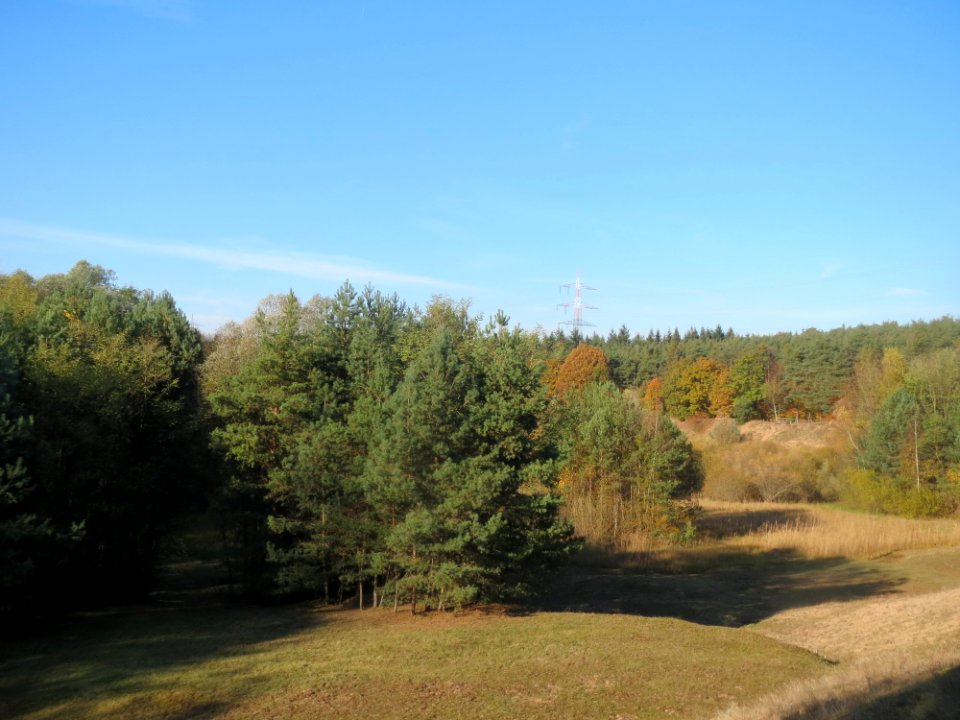 20161114Zugmantel-Bandholz05
