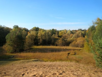 20161114Zugmantel-Bandholz07