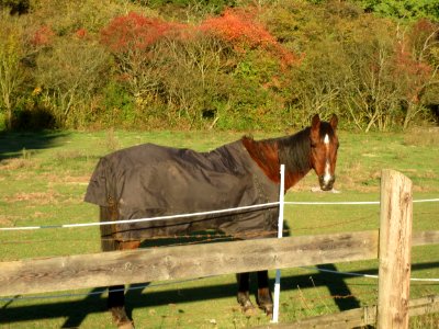 20161030Almet
