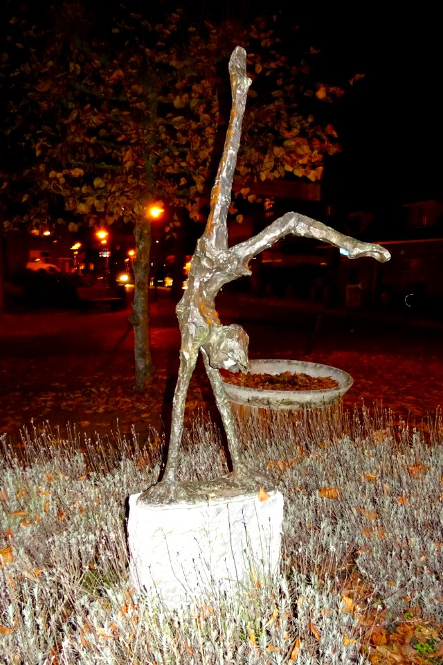 20161031_Handstand_door_Jits_Bakker_Otterlo