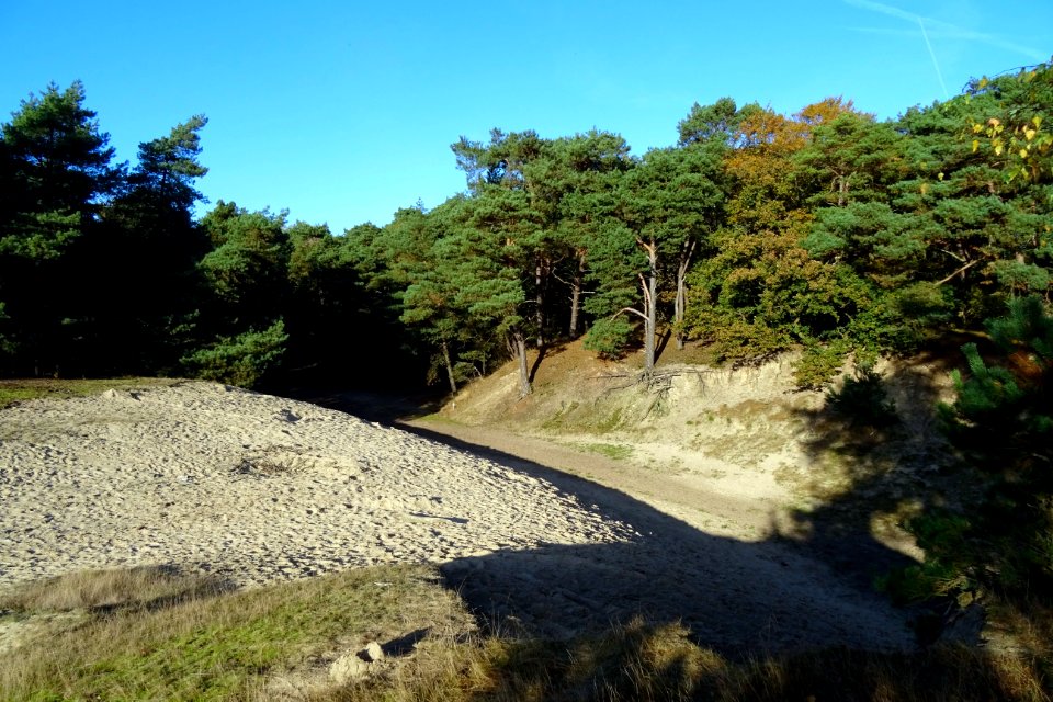 20161031_Wekeromse_Zand1