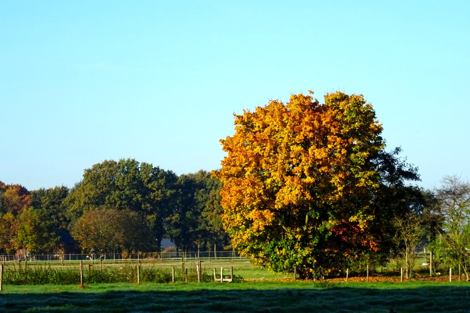 20161031_Mosselsepad1_Otterlo