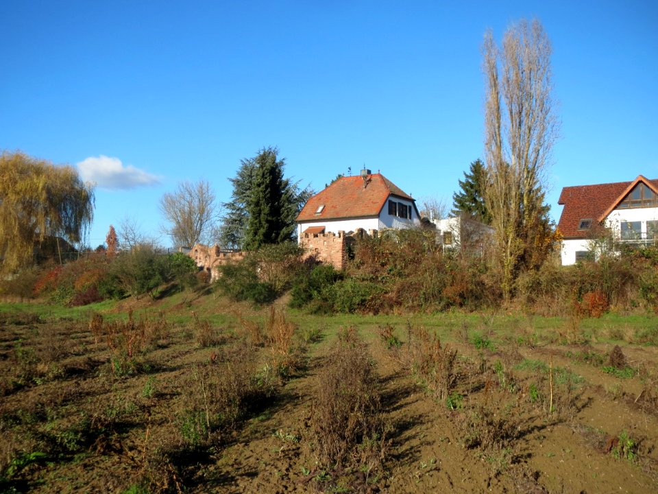 20161128Bruchweg9_Neulussheim1