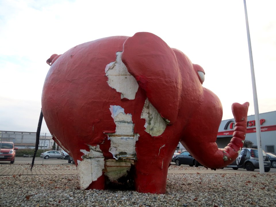 20161209Elefant_Talhaus2