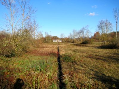 20161128Hochwasserrueckhaltebecken_Neulussheim2