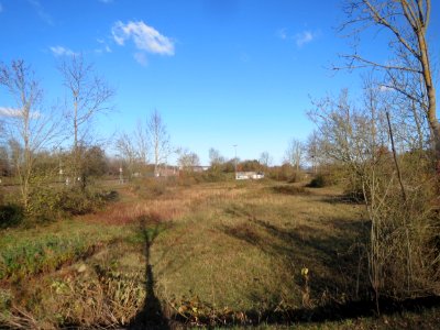 20161128Hochwasserrueckhaltebecken_Neulussheim1