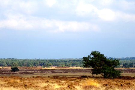 20161013_Oud_Reemsterzand5
