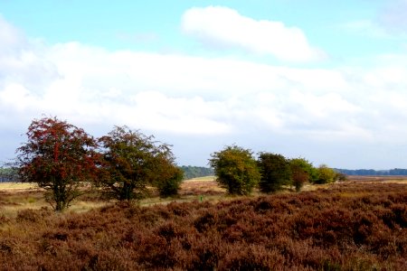 20161013_Oud_Reemsterzand6