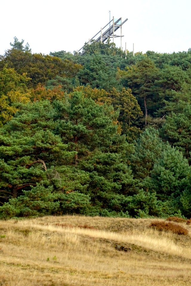20161026_Kijk_Uit_Attention5_Franse_Berg_Pampelse_Zand