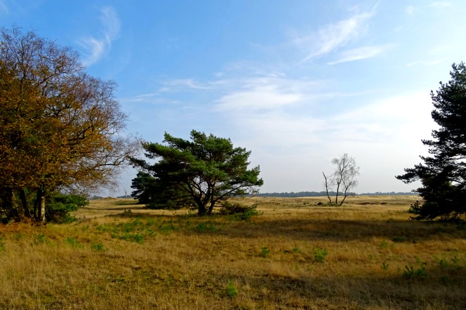 20161026_De_Pollen2_Hoge_Veluwe