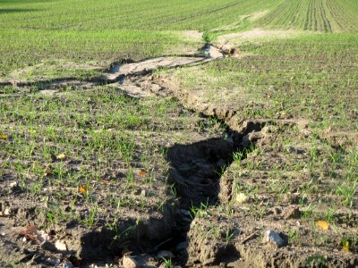 20161114Felderosion_Reilingen1