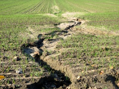 20161114Felderosion_Reilingen2