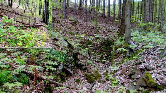 2017_Hainsberg_Ruine_im_Rabenauer_Grund