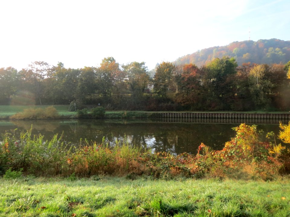 20161101Saar