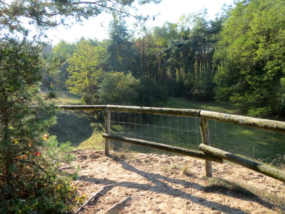 20161114Zugmantel-Bandholz06