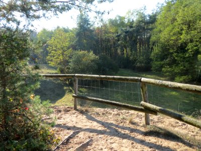 20161114Zugmantel-Bandholz06