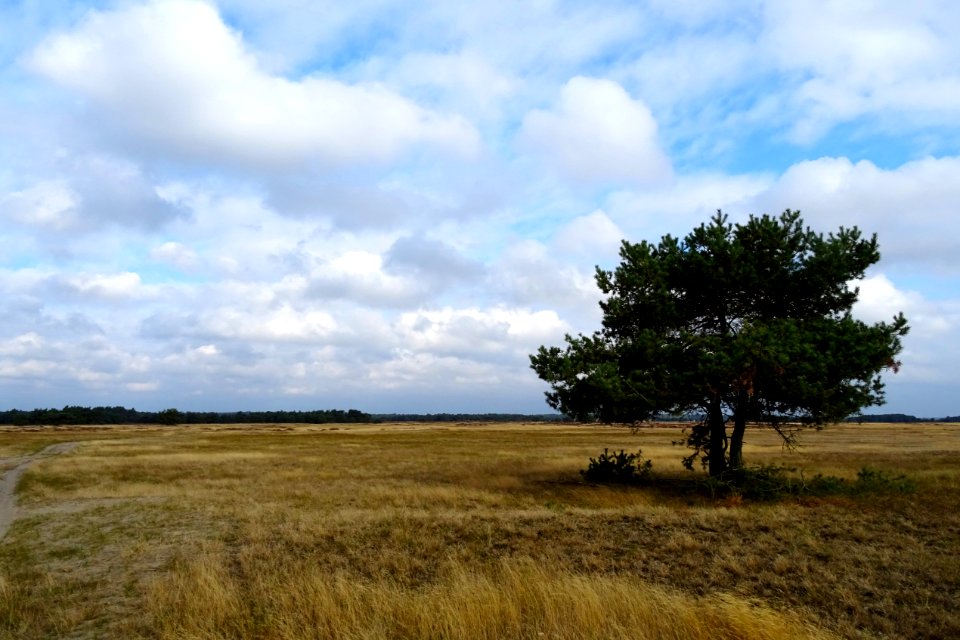 20161013_Oud_Reemsterzand3