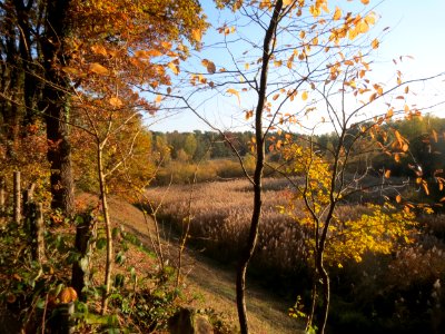 20161114Zugmantel-Bandholz10
