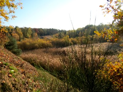 20161114Zugmantel-Bandholz09