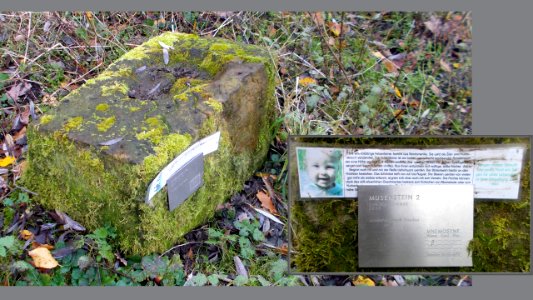 2017_Kleinnaundorf_Musenstein_II_im_Kaitzbachtal