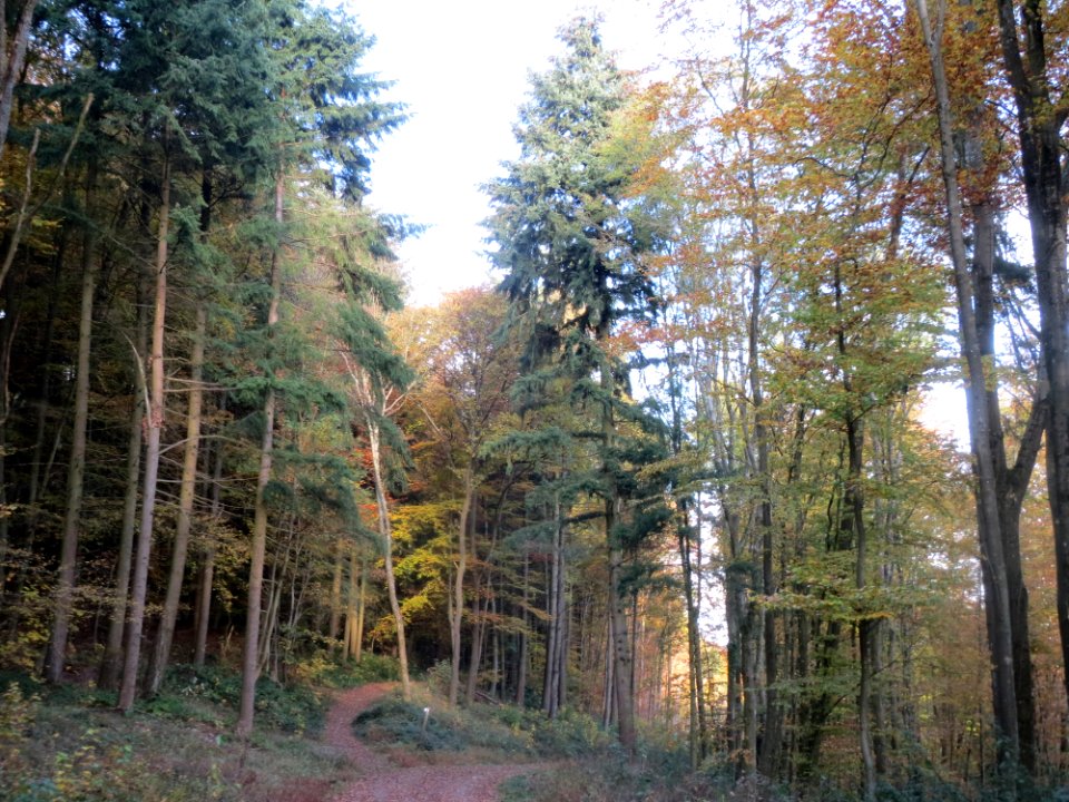 20161103Hexentanzplatz