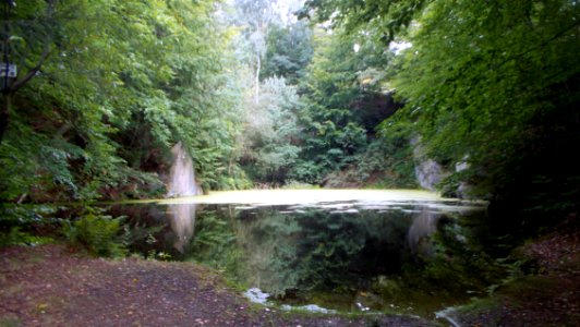 2017_Rammenau_Alter_Steinbruch_Kuppe_zum_Hochstein