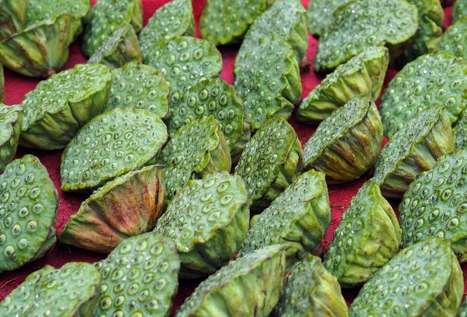 Lotus green food