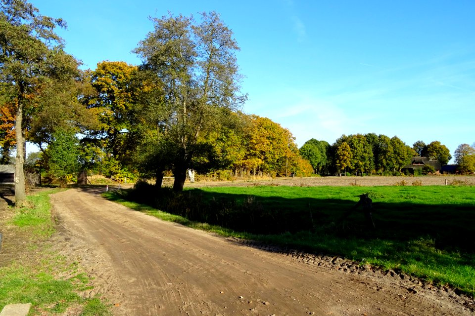 20161031_Roekelse_zandweg
