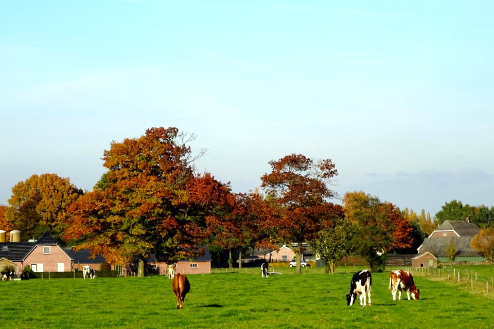 20161031_Wekeromsche_Eng