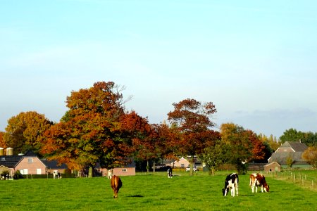 20161031_Wekeromsche_Eng