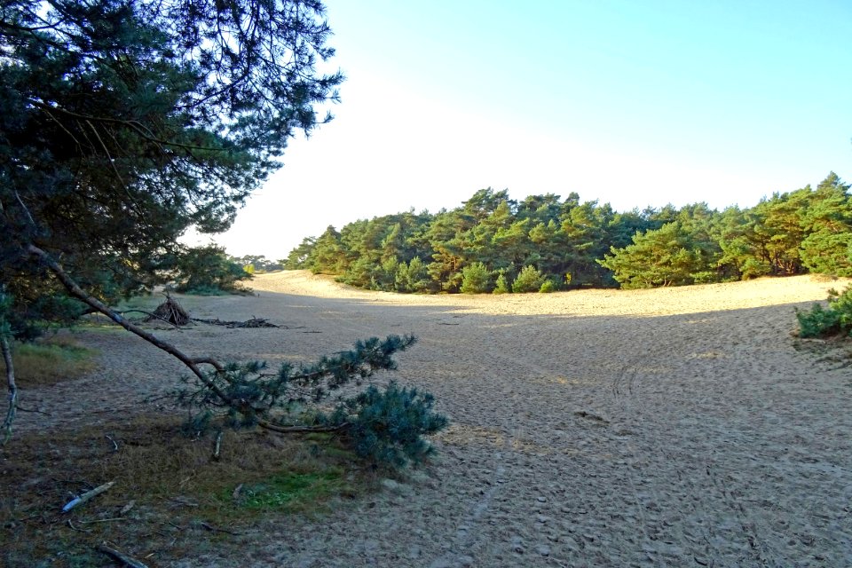 20161031_Wekeromse_Zand3