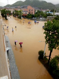 2017_Ningxiang_Huangcai_floods,_picture7
