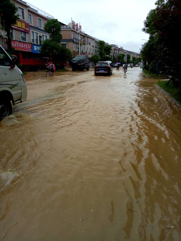 2017_Ningxiang_Huangcai_floods,_picture9