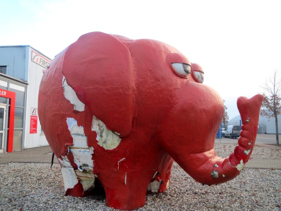 20161209Elefant_Talhaus1