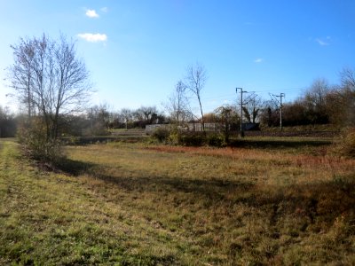 20161128Hochwasserrueckhaltebecken_Neulussheim4
