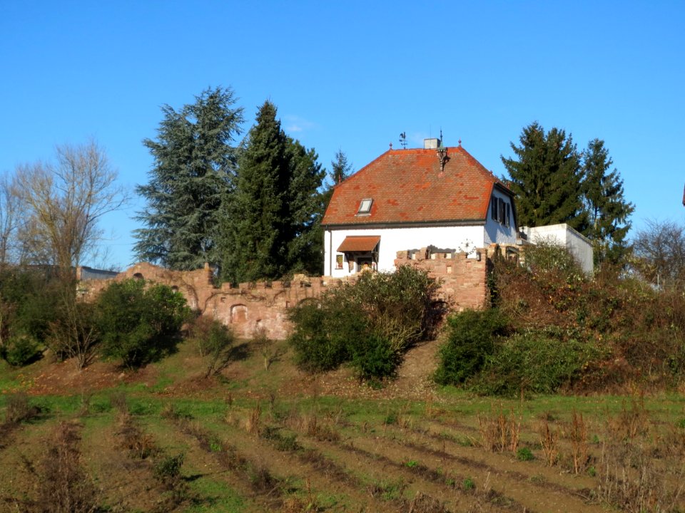 20161128Bruchweg9_Neulussheim2