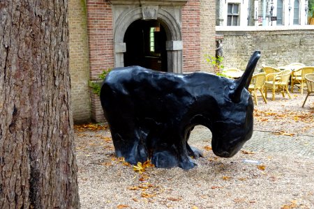 20161020_Ezel_door_Tom_Claassen_Gouda