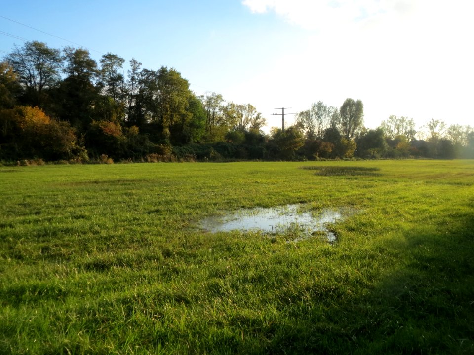 20161026Horststücker2