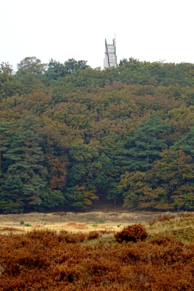 20161026_Kijk_Uit_Attention1_Franse_Berg_Pampelse_Zand