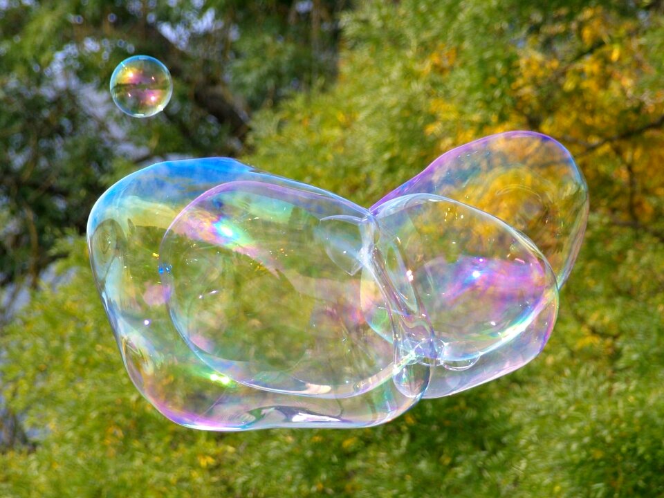 Soap bubble blubber large