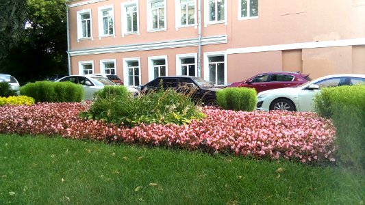 20160809_142919_August_2016_in_Moscow