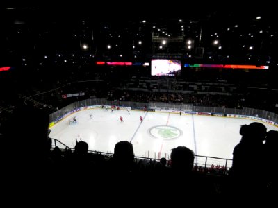2017_IIHF_World_Championship_-_FRA_vs_SUI_-_21