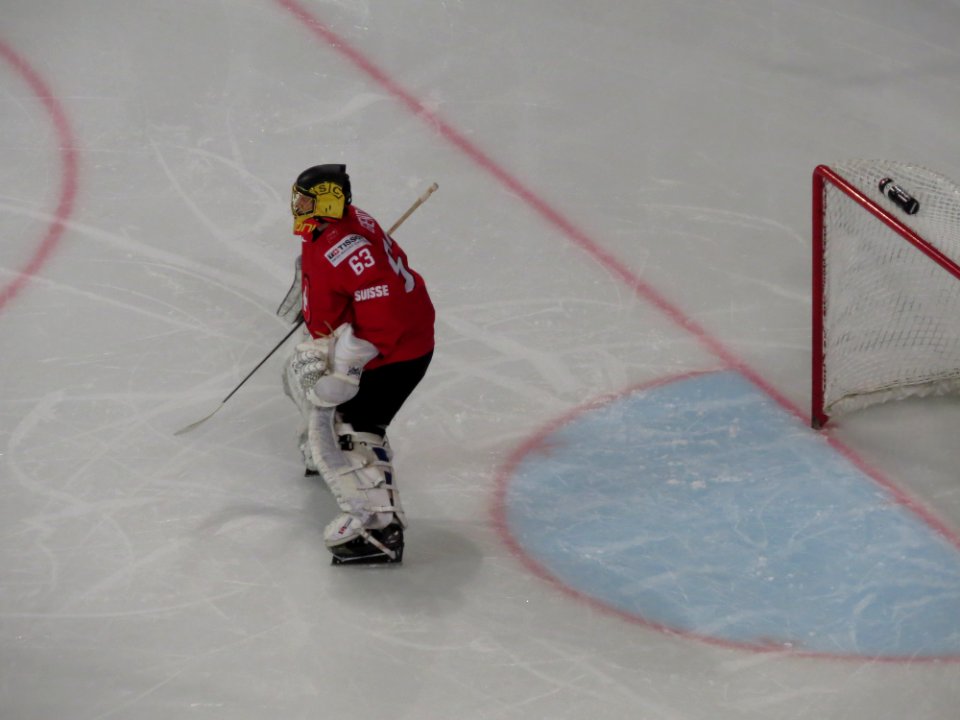 2017_IIHF_World_Championship_-_FRA_vs_SUI_-_22