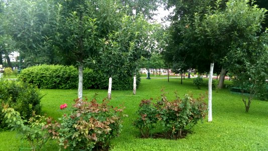 20160726_124233_July_2016_in_Moscow
