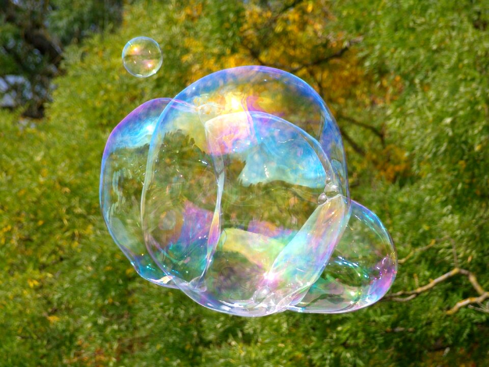 Soap bubble blubber large