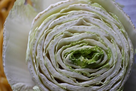 Kohl close up food