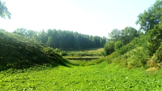 20160729_154024_Vladimir_Oblast,_July_2016