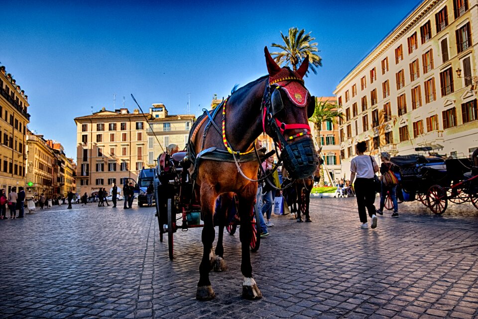 Tourism piazza travel