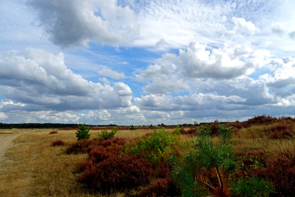 20160926_Kootwijkerzand3